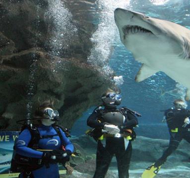 Blue Planet Aquarium
