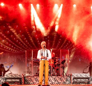 Bowie Experience on stage