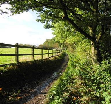 Daisy Nook footpath