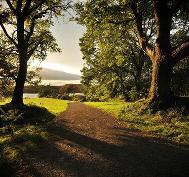 Derwent Waterside Park