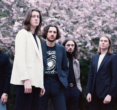 Blossoms