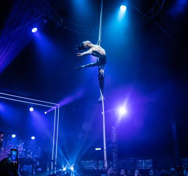 Circus