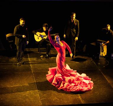 Flamenco dancer, red dress