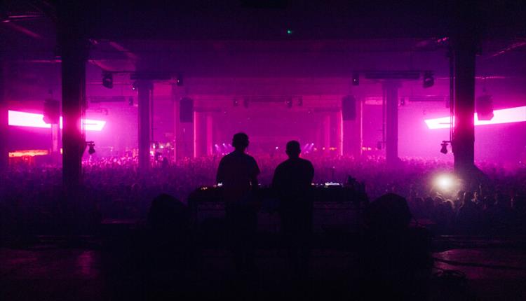 Dj playing, pink background