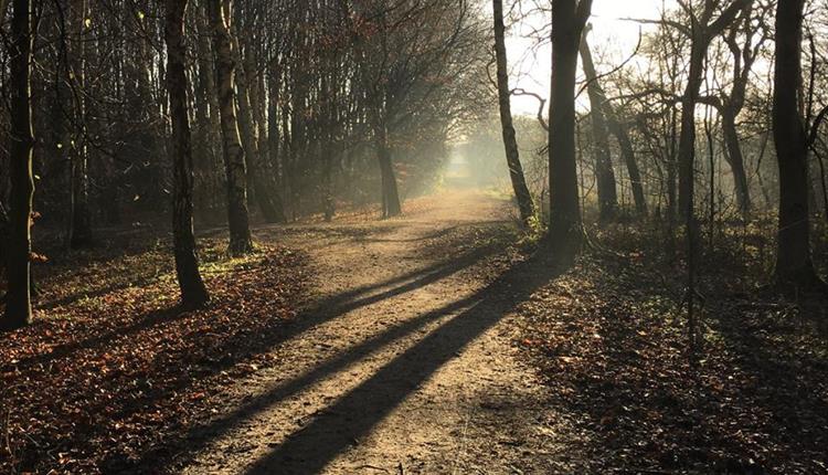 Chorlton Ees Nature Reserve