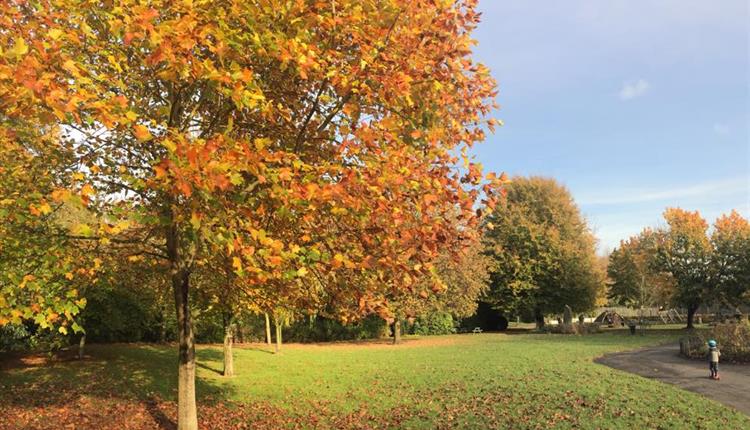 Walton Park