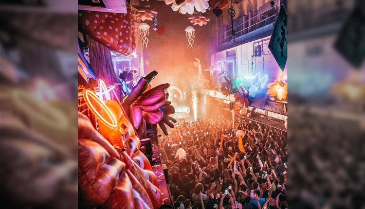 Rave Party