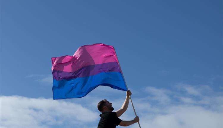 A person carrying a bi-sexual coloured flag