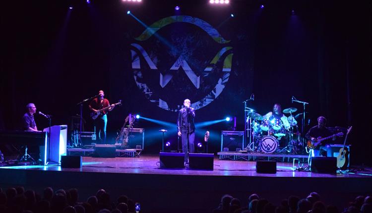 The Watch band members on stage