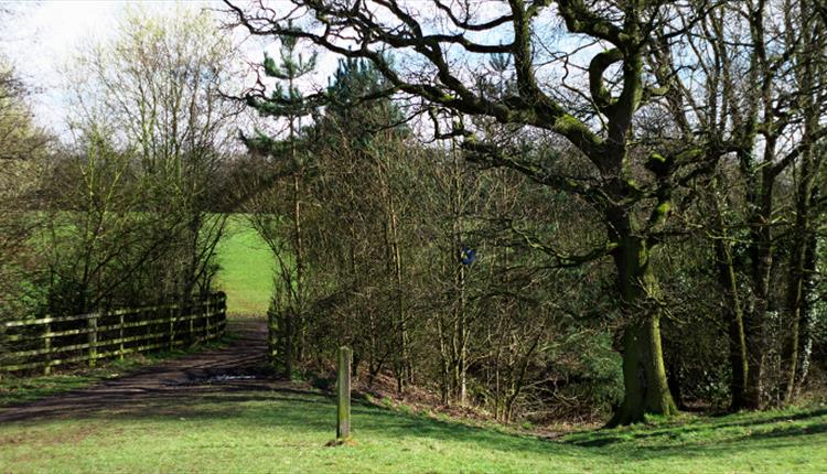 Bruntwood Park