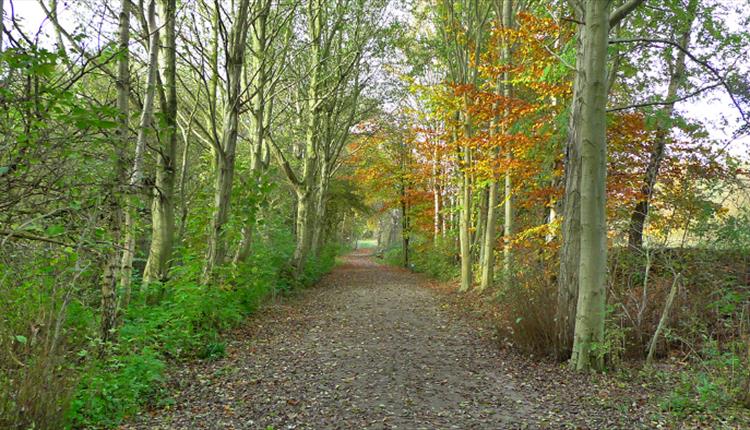 Mersey Valley Streford Ees Visit Manchester