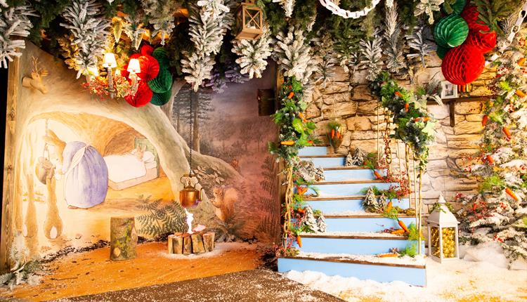 Peter Rabbit Christmas Grotto