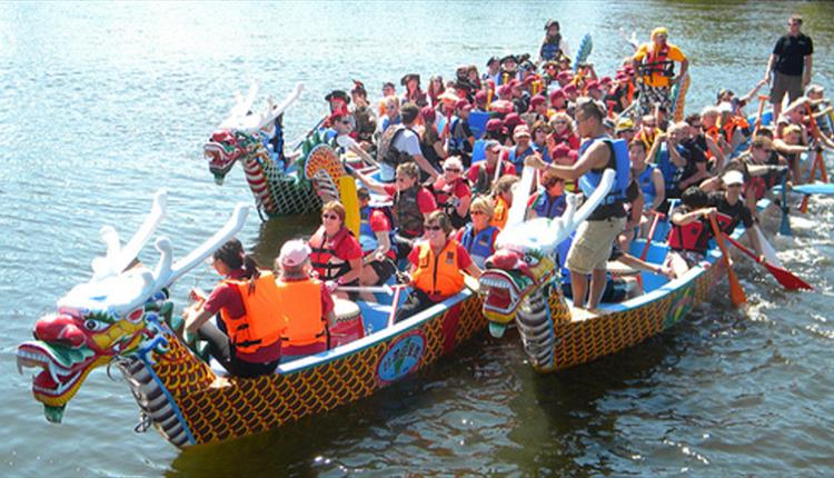 Dragon Boat Race