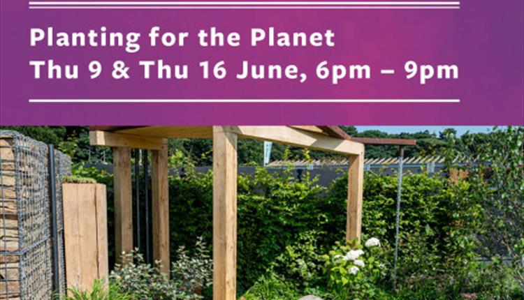 Purple poster: Bridgewater Lates