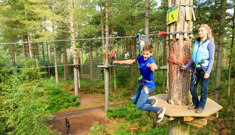 Go Ape Rivington Horwich Visit Manchester