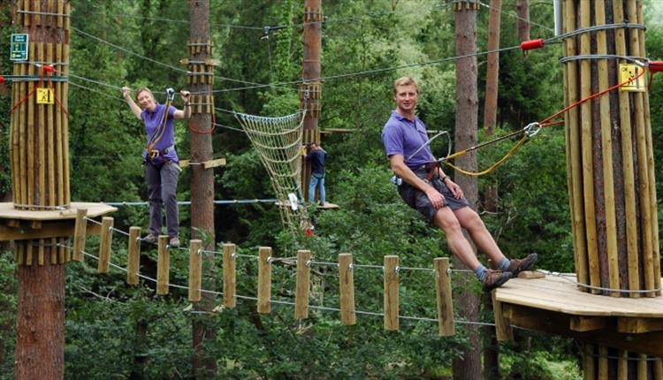Go Ape Delamere Visit Manchester