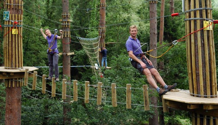 Go Ape Delamere - Visit Manchester