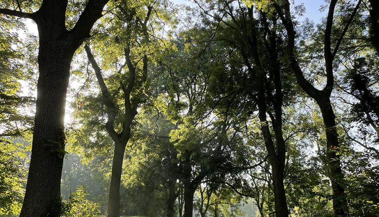 Whitworth Park