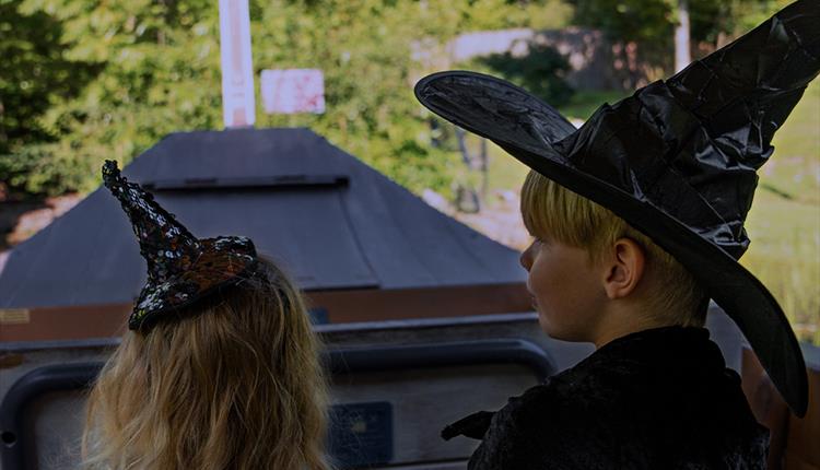 Children in Halloween Costumes