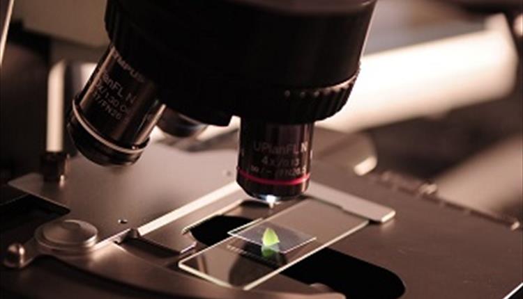 Gallery Oldham - Oldham Microscopical and Natural History Society Open Day