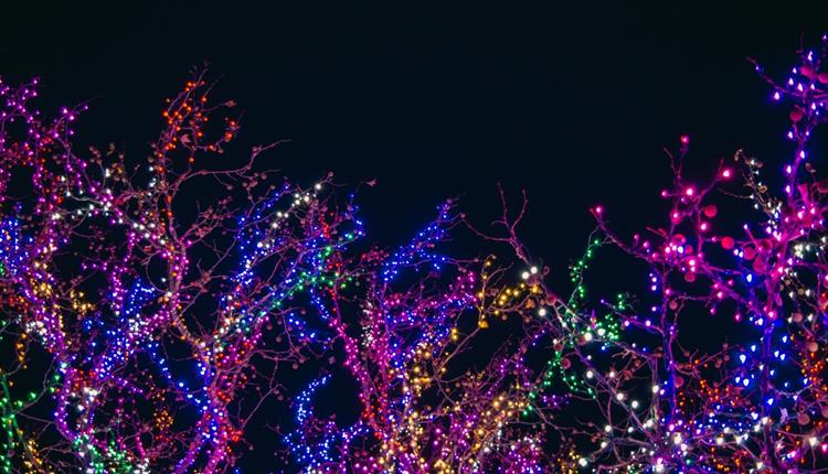 Assorted Color String Lights