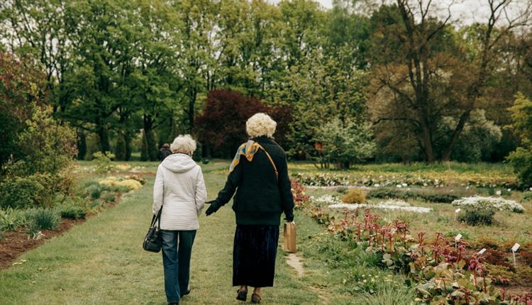 Women Walking on Green Grass Field