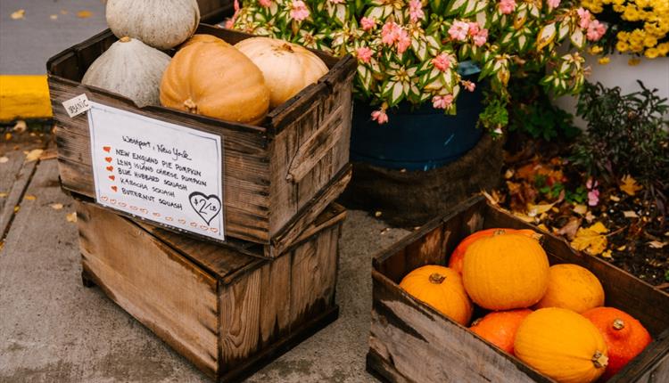 Wooden boxes with pumpkins placed near flowers in flowerbeds