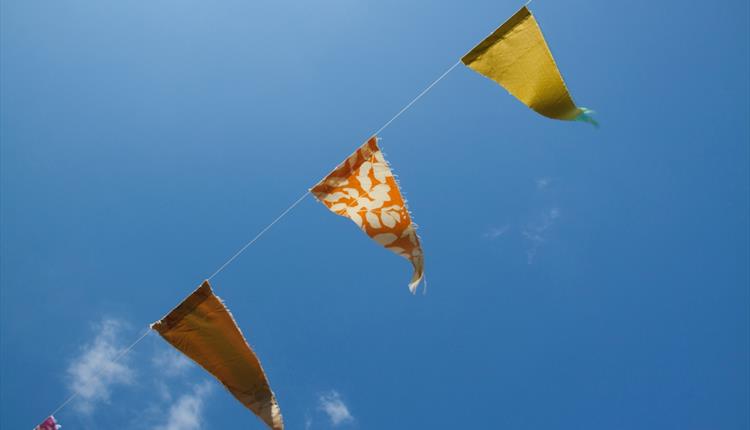 Bunting