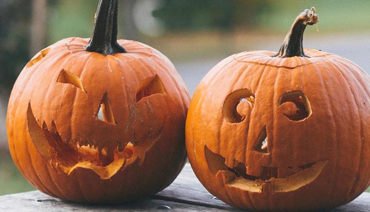 Pumpkins carved for Halloween