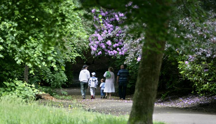 A family walking in Springfield Park.