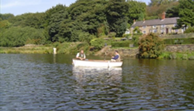 Curley's Trout Fishery
