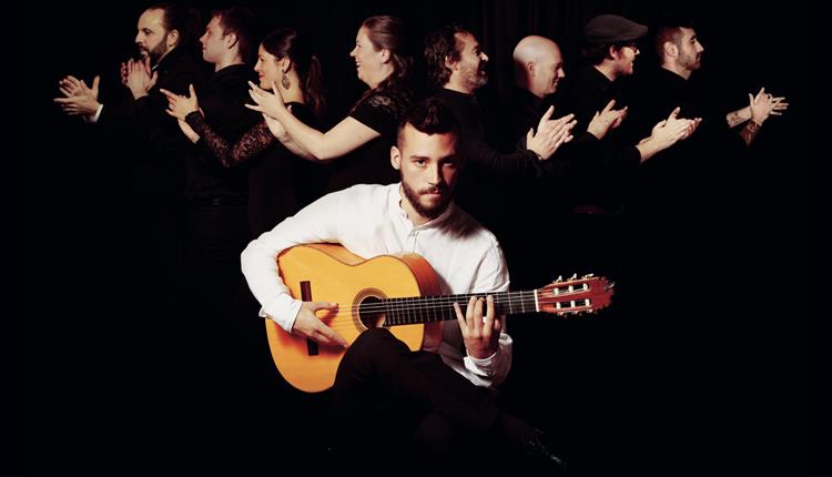 Daniel Martinez Flamenco Company