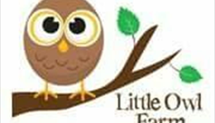 Little Owl Farm