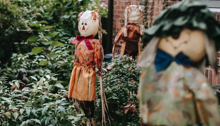 Scarecrows