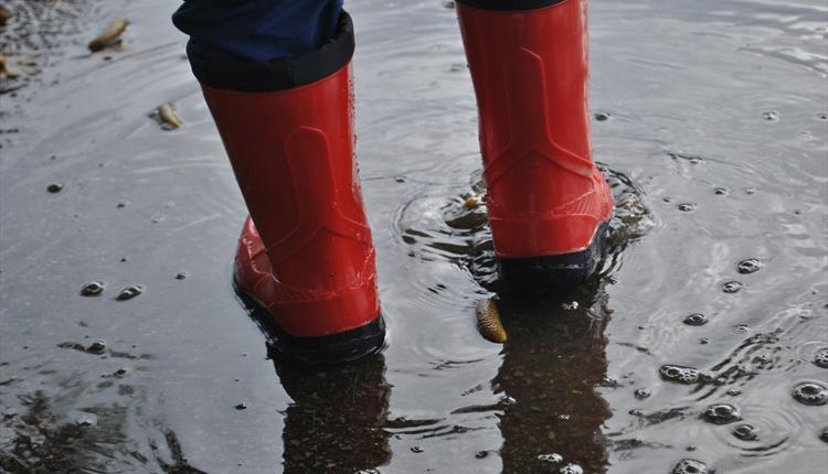 A Person Standing on a Puddle of Water

