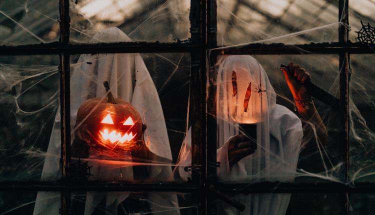 Jack O Lantern on Glass Window