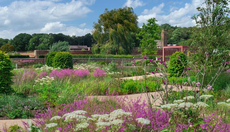 RHS Garden Bridgewater flower garden