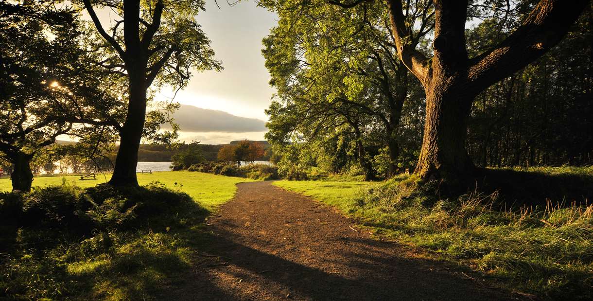 Derwent Waterside Park