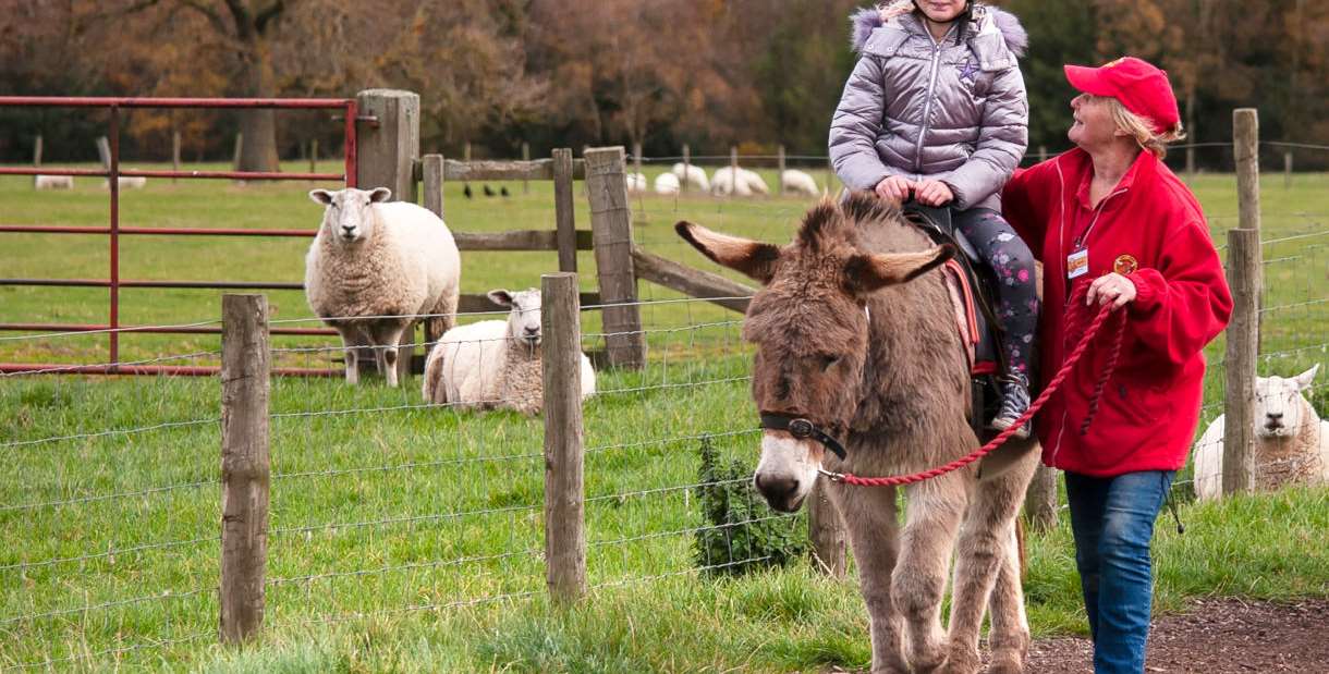 Hall Hill Farm Durham, Outdoor in England — Ravlling