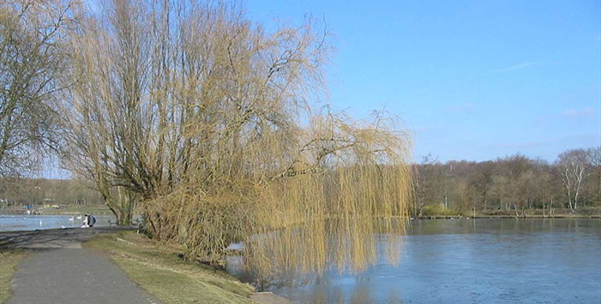 Moses Gate Country Park, Nature in England — Ravlling