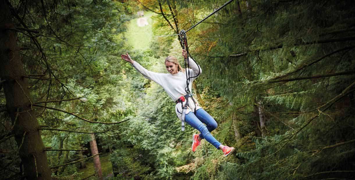 Go Ape Tree Top Adventure Buxton Visit Manchester