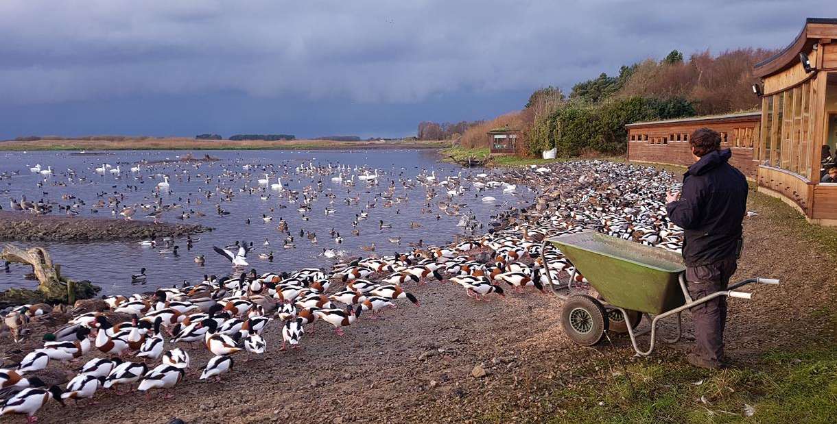 WWT Martin Mere Wetland Centre Ormskirk