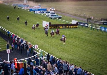 Sedgefield Racecourse