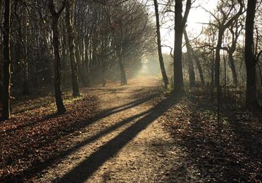 Chorlton Ees Nature Reserve