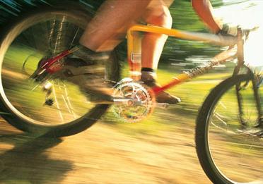 Philips Park Mountain Bike trail
