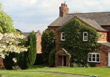Ash Farm