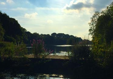Etherow Country Park and Local Nature Reserve