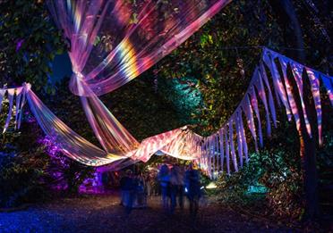 Magical Woodland Lost Woods light installation