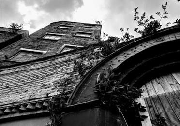 Abandoned building, overgrown with weeds