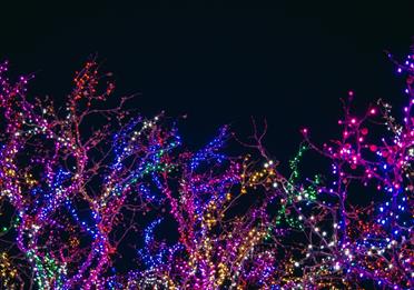 Assorted Color String Lights